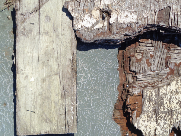 TEXTURED RELIEF von Peter Hugo  McClure