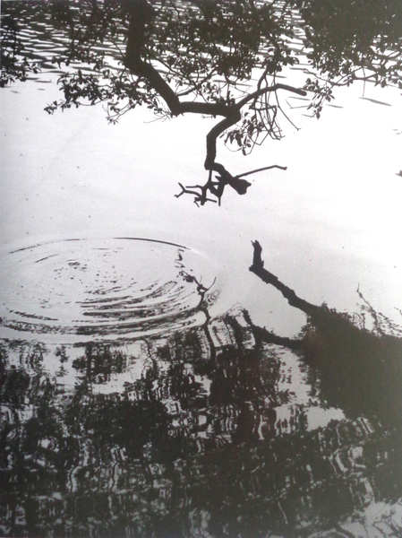 VINTAGE B&W PHOTO No.5 von Peter Hugo  McClure