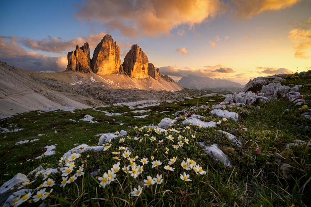 Bloomy Tre Cime von Petr Kovar