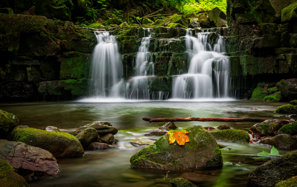Still life with stick and leaf von Petr Pazdírek