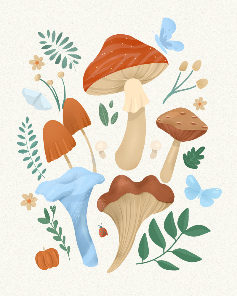 Fungi von Petra Lizde