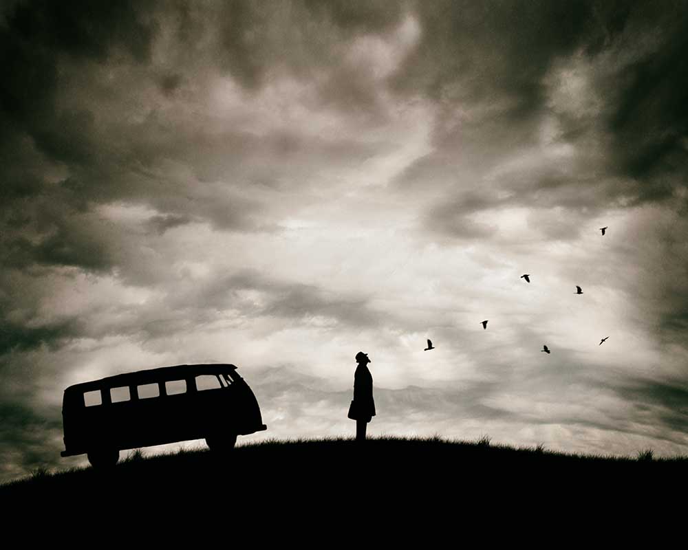 Freiheit von Petri Damsten