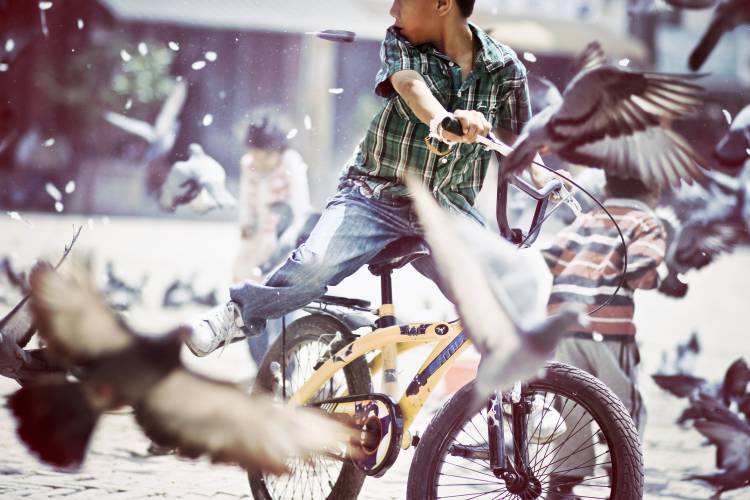 Untitled von Philipp Levinger