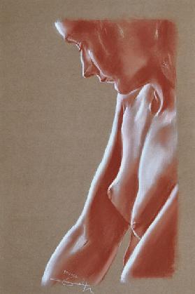 Etude à la saugine et crai blanche