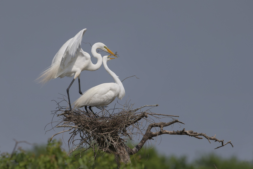 Working von Phillip Chang