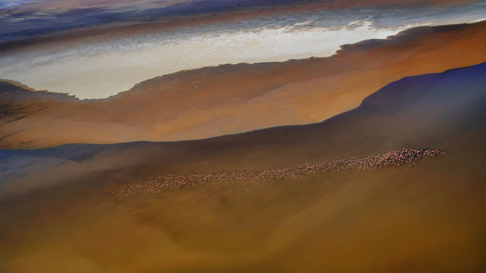 Colorful  Layers von Phillip Chang