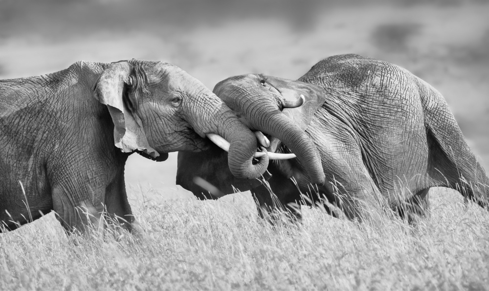 So Powerful von Phillip Chang