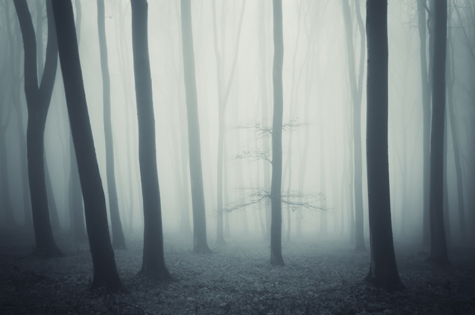 Out Of This World von PhotoCosma