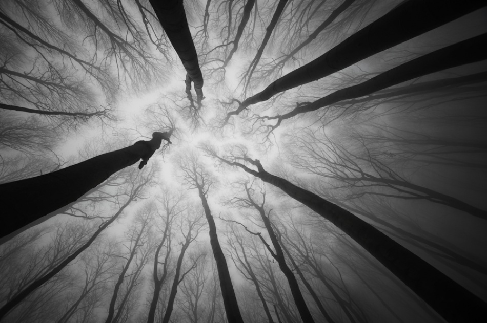 Claustrophobia von PhotoCosma