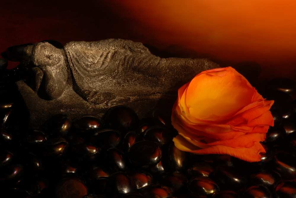 Scented Dreams von Phyllis Clarke