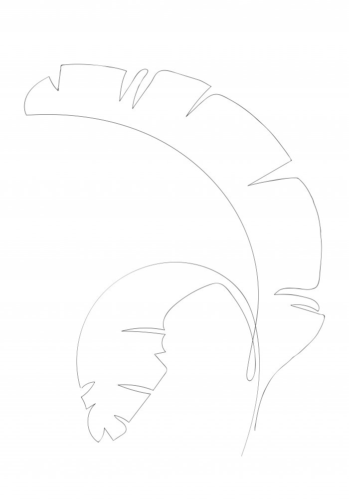 Banana Leaves von Pictufy Studio II