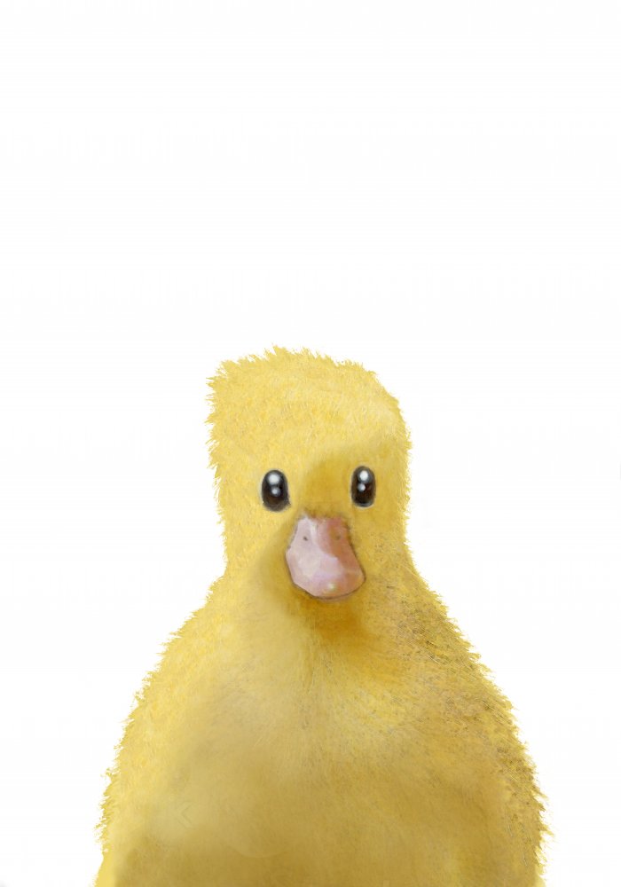 Duck von Pictufy Studio II