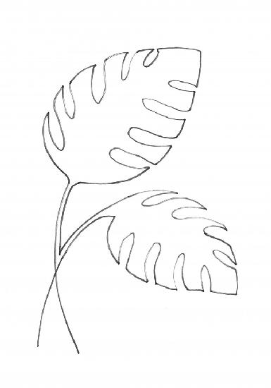 Monstera Lines