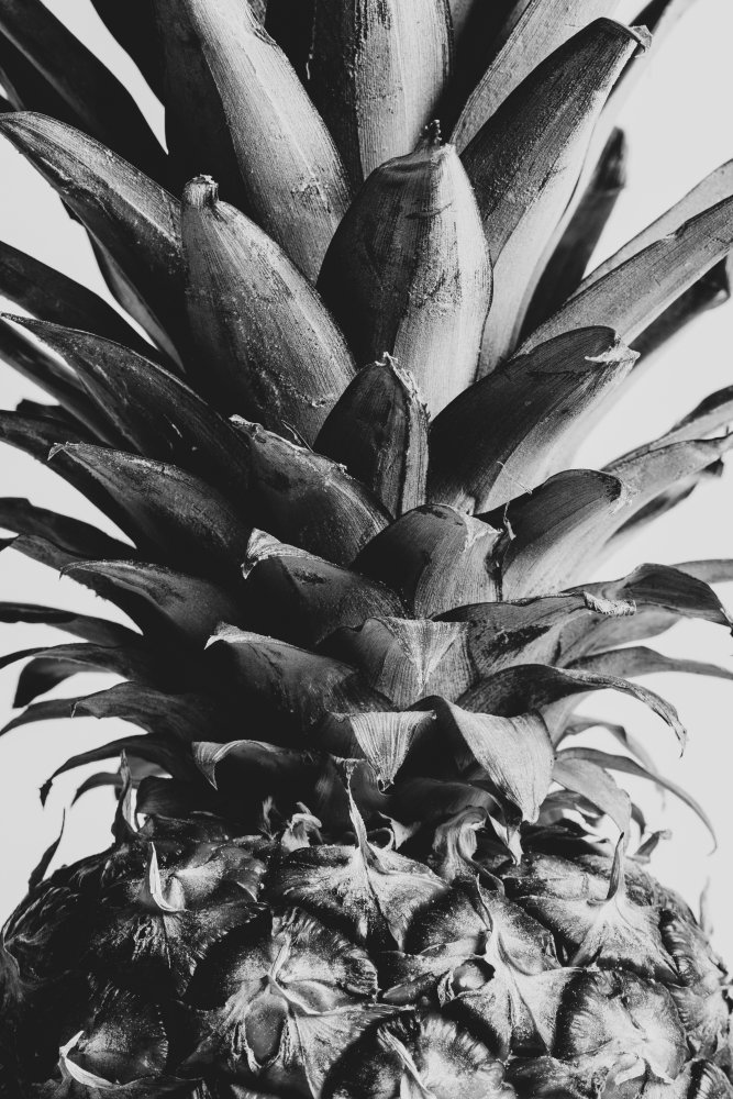 Pineapple Close Up 02 von Pictufy Studio III