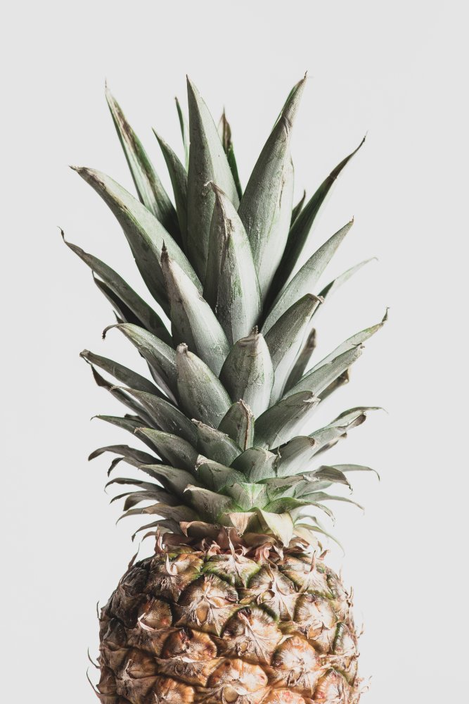 Pineapple Natural von Pictufy Studio III