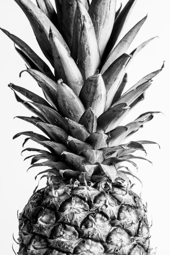 Pinapple Black &amp; White 03 von Pictufy Studio III