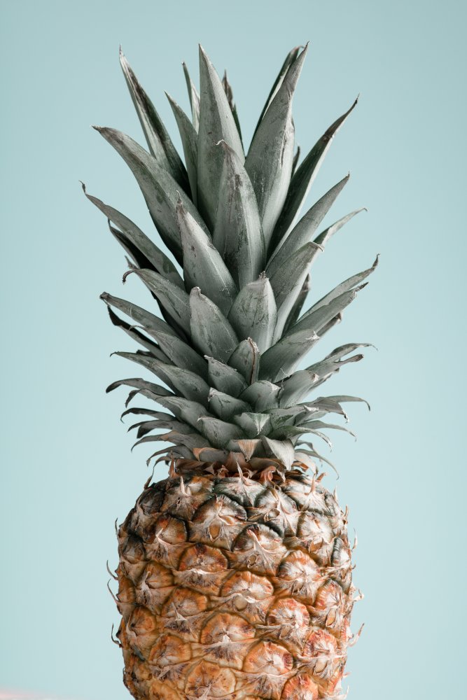 Pineapple Blue 01 von Pictufy Studio III