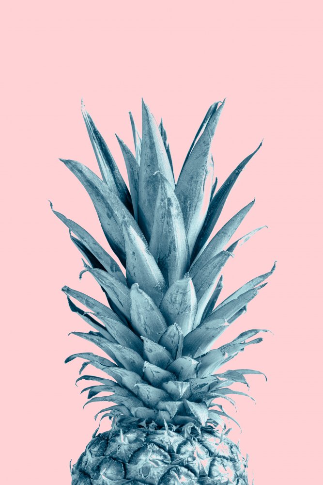 Pineapple Pink 06 von Pictufy Studio III