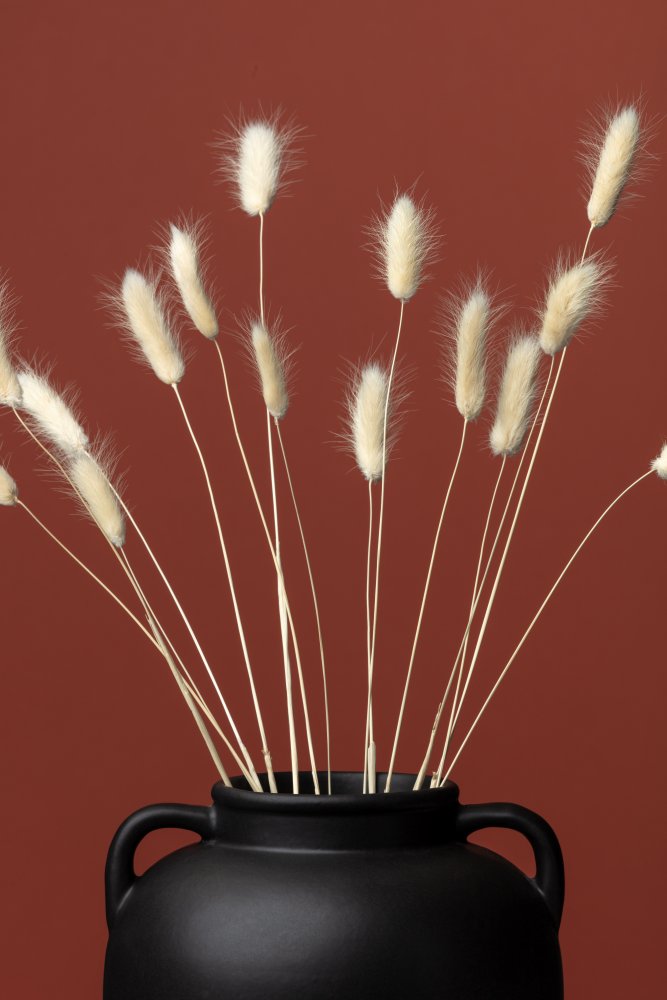 Bunny Grass Vase von Pictufy Studio III