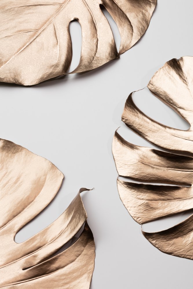 Monstera Gold 01 von Pictufy Studio III
