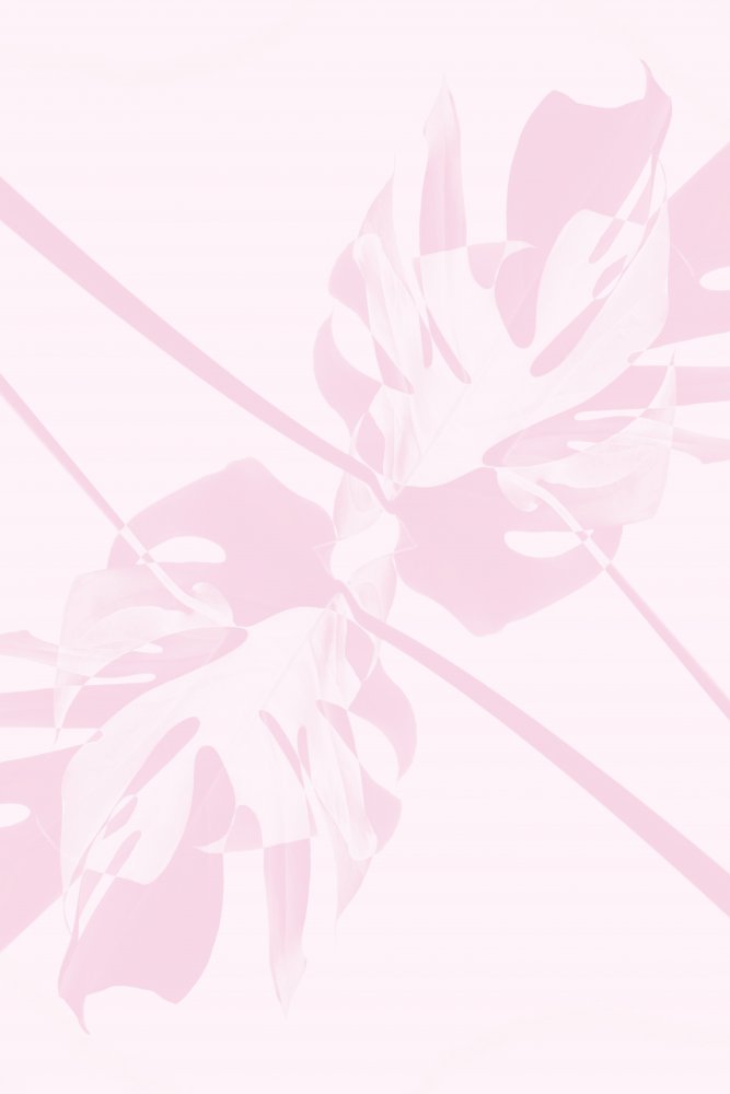 Monstera Kaleidoscope 09 von Pictufy Studio III