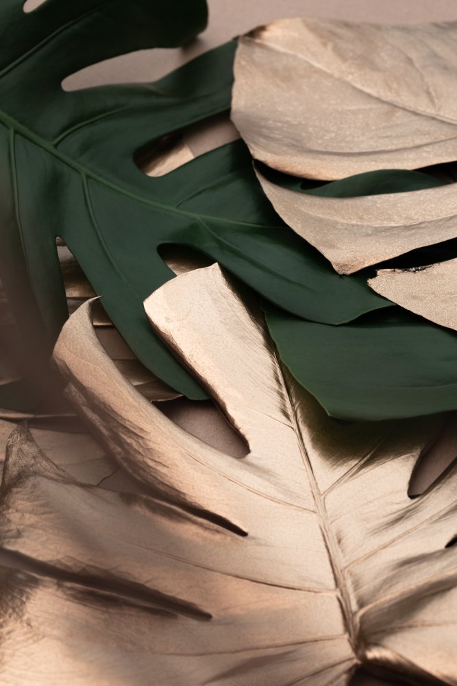 Monstera Mix 01 von Pictufy Studio III