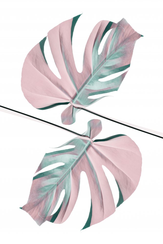 Ying Yang 03 von Pictufy Studio III