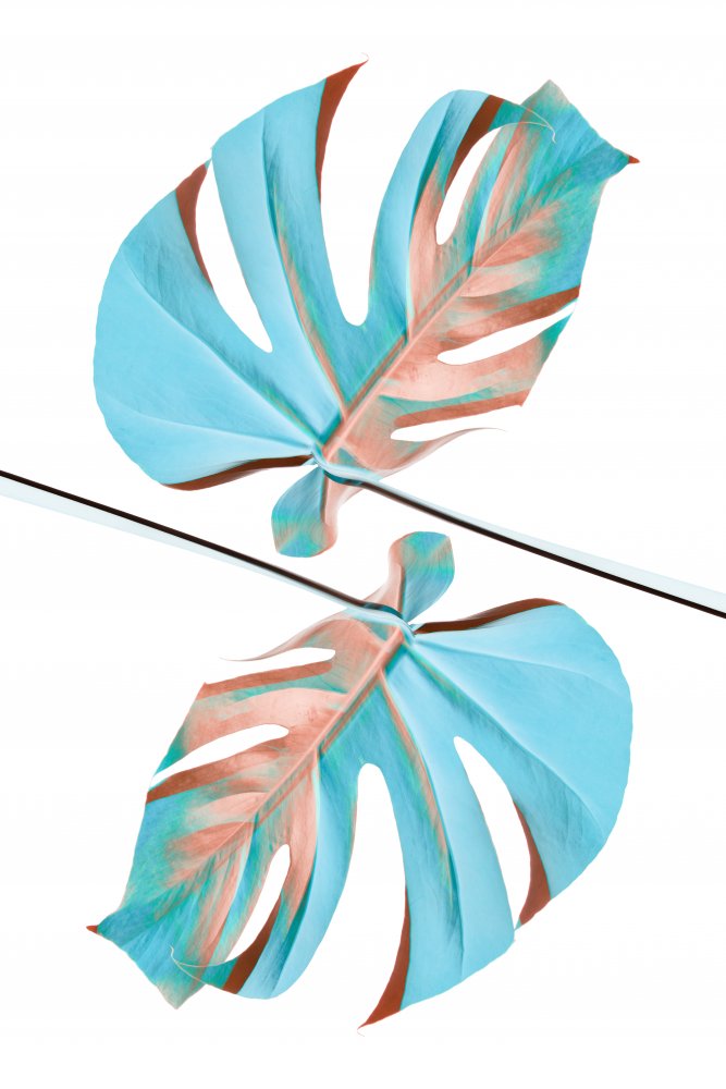 Ying Yang 05 von Pictufy Studio III