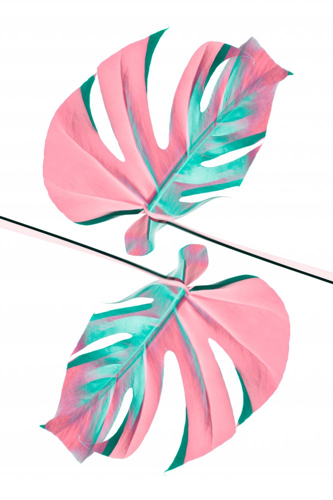 Ying Yang 06 von Pictufy Studio III