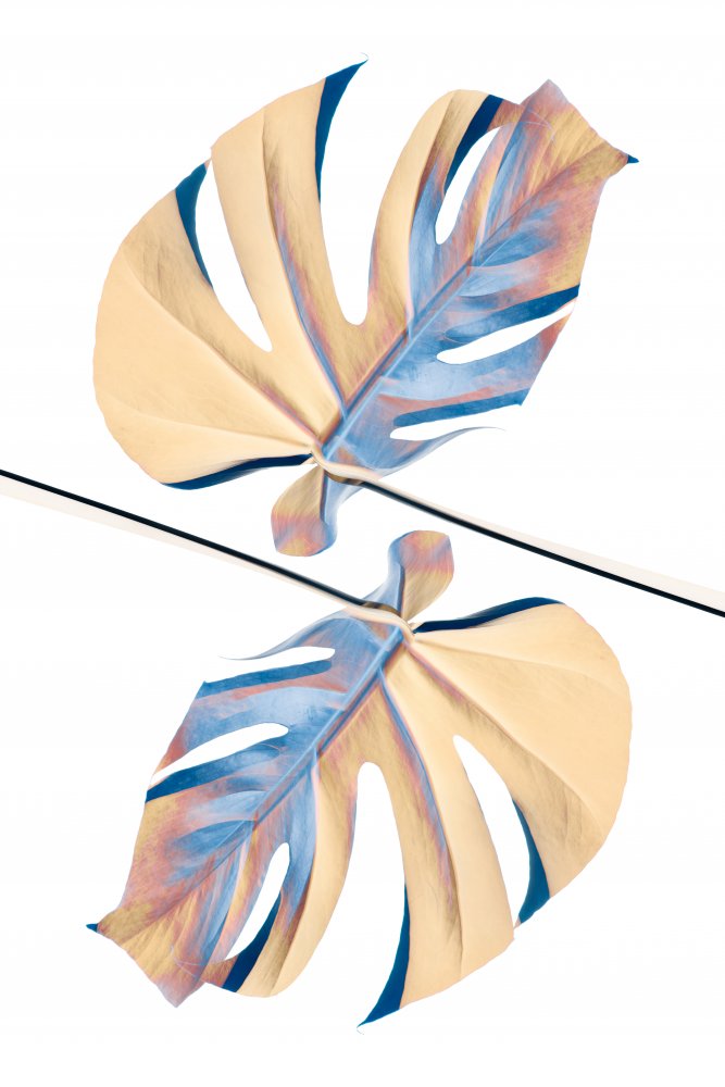 Ying Yang 07 von Pictufy Studio III