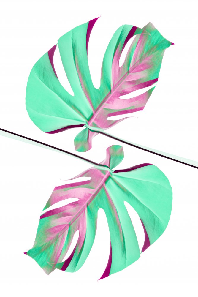 Ying Yang 08 von Pictufy Studio III