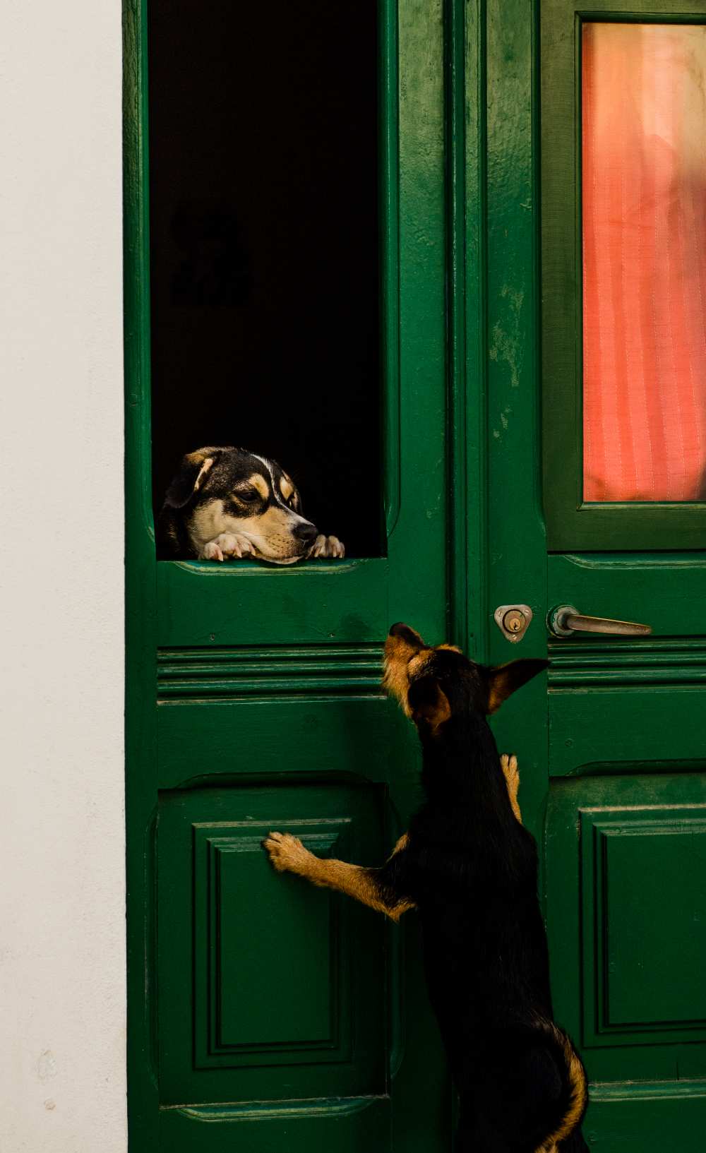 A moment of love von Piera Polo