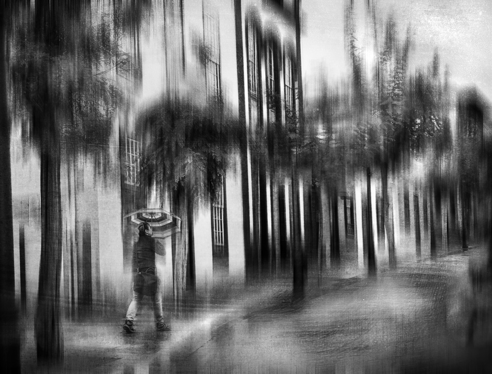 Those gray days... von Piera Polo