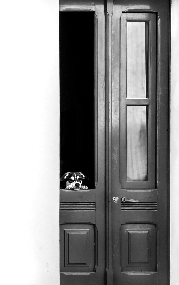 Hello there! von Piera Polo