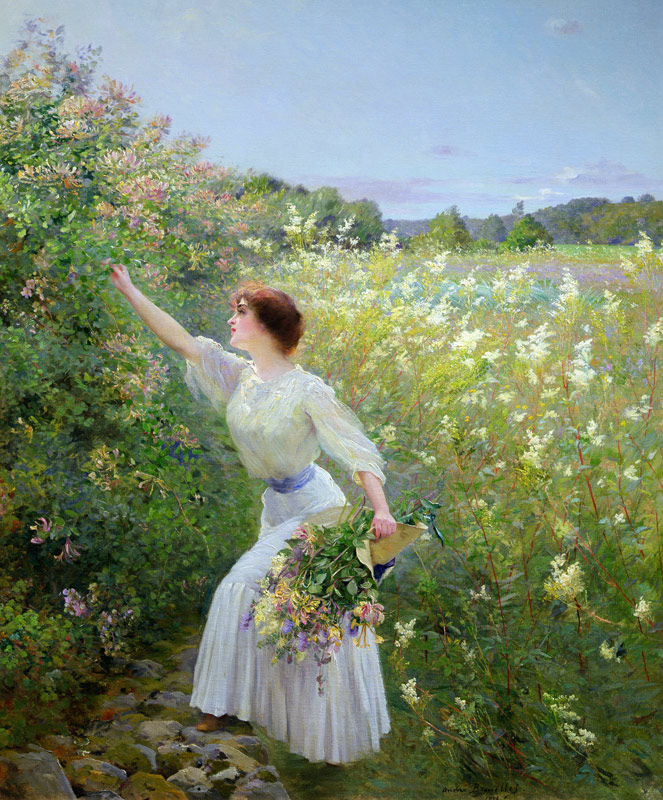 Wild Honeysuckle von Pierre Andre Brouillet