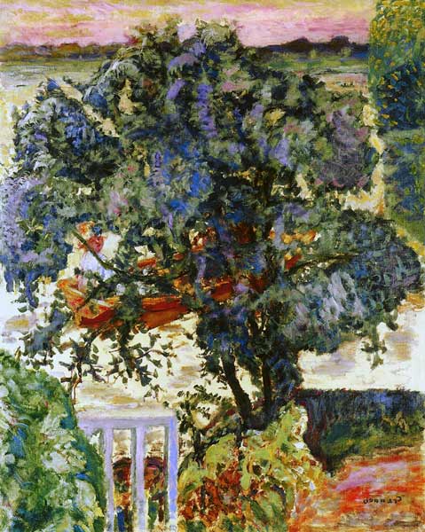 Baum am Fluss von Pierre Bonnard