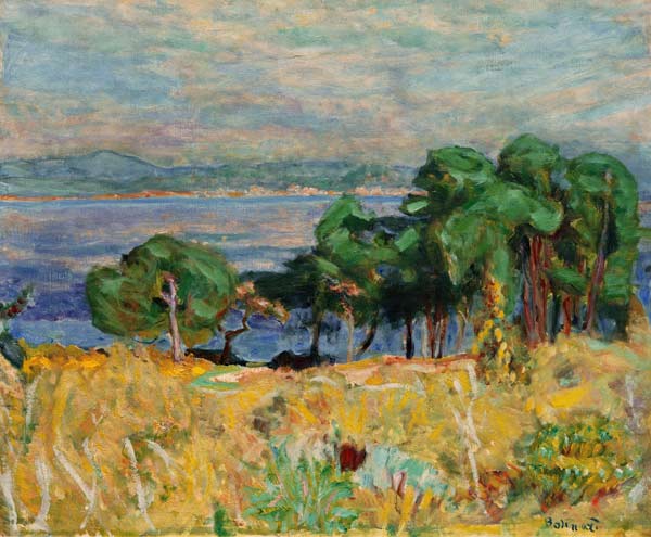 Die Bucht von Saint-Tropez von Pierre Bonnard