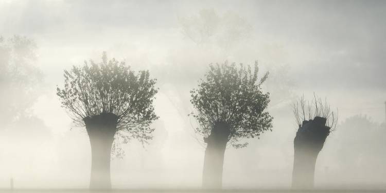 awakening earth von Piet Flour