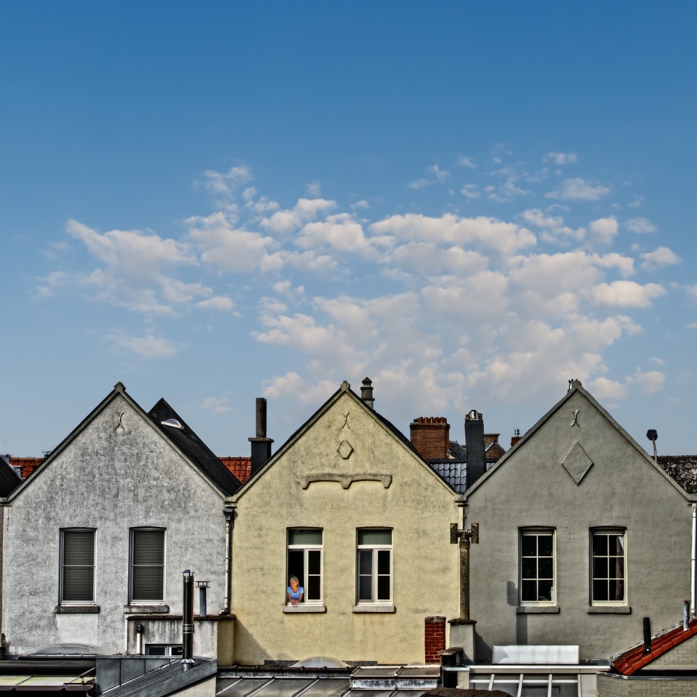 the lady at the window von Piet Flour