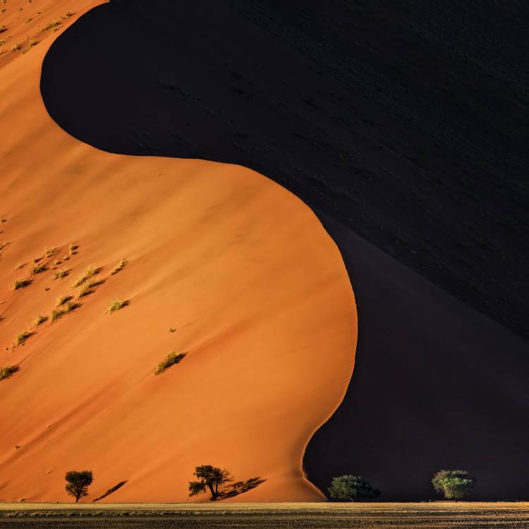 light and shadow von Piet Flour