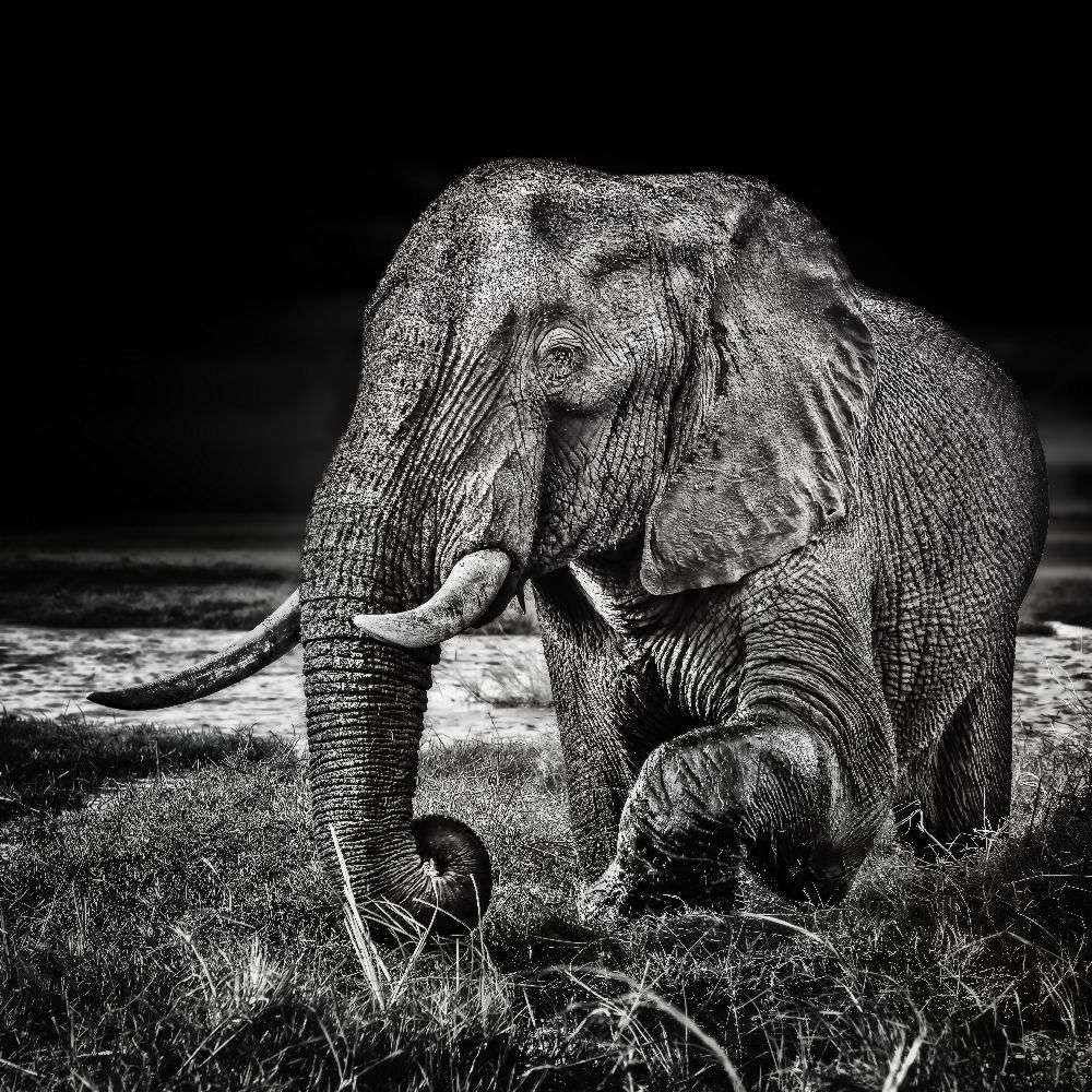 Sonnenuntergang am Wasserloch von Piet Flour