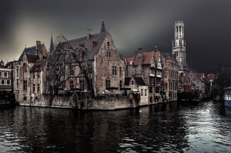 the darkness of winter cold von Piet Flour