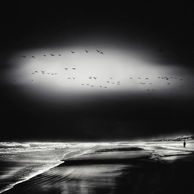 the song of the wet sands von Piet Flour