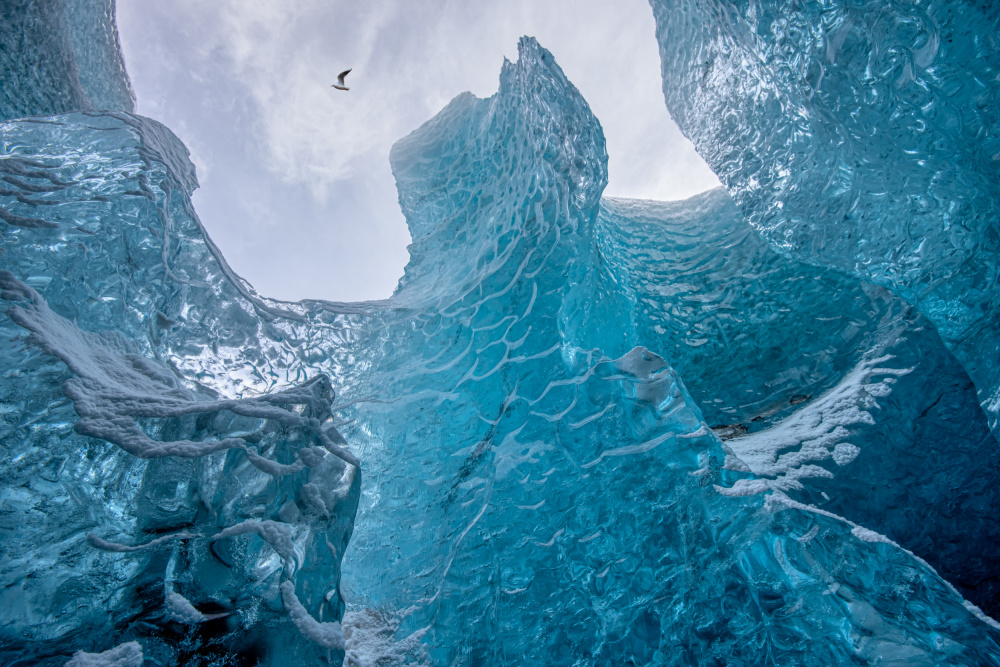 Cold von Piet Haaksma