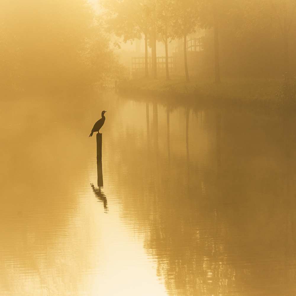 waiting for the sun .......... von Piet Haaksma