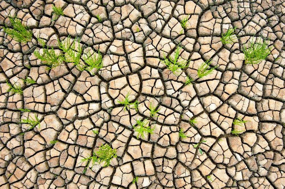 Wattenmeer-Strukturen von Piet Haaksma