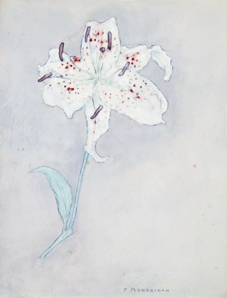 Lilie von Piet Mondrian