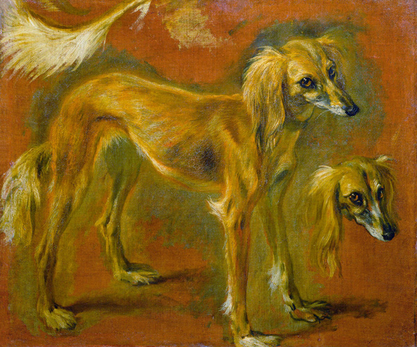 Zwei Studien eines Windhundes von Pieter Boel