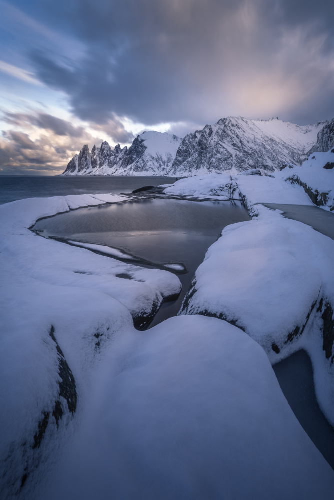 Golden snow von Pilar Hm