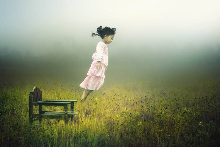 Learn to fly von Pink Sword